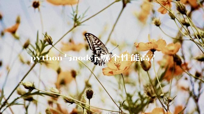 python与nodejs哪个性能高？