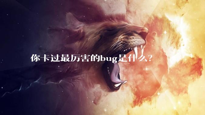 你卡过最厉害的bug是什么？
